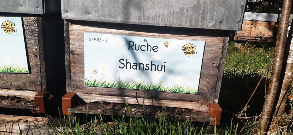 La ruche Shanshui