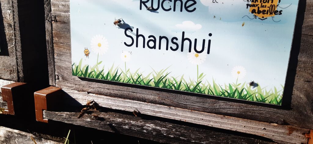 La ruche Shanshui
