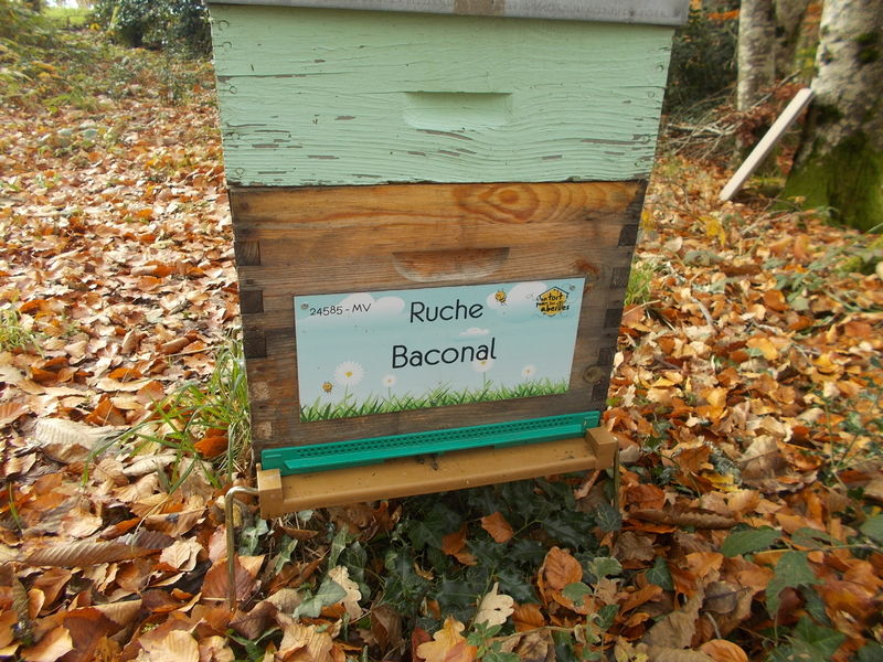 La ruche Baconal