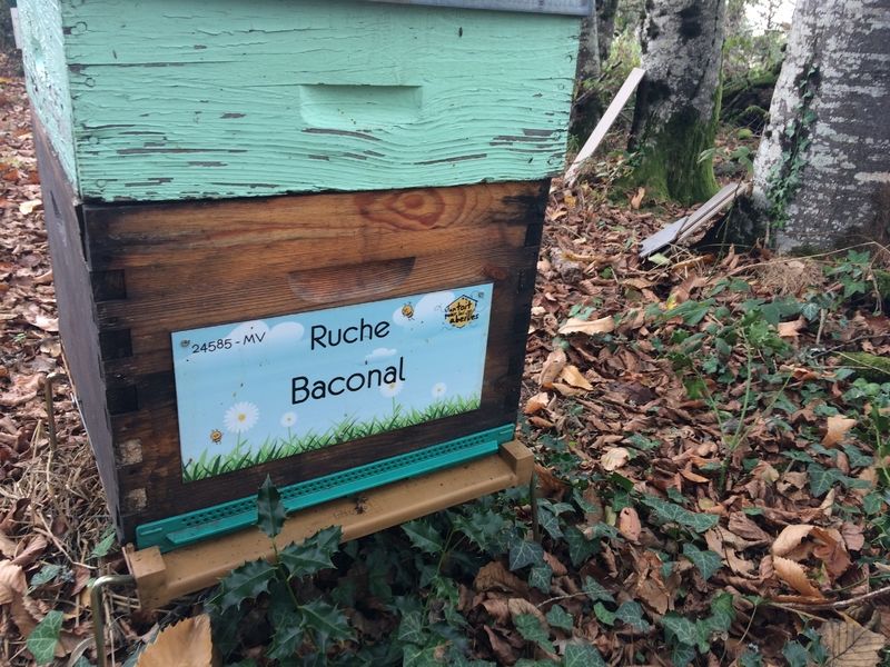 La ruche Baconal