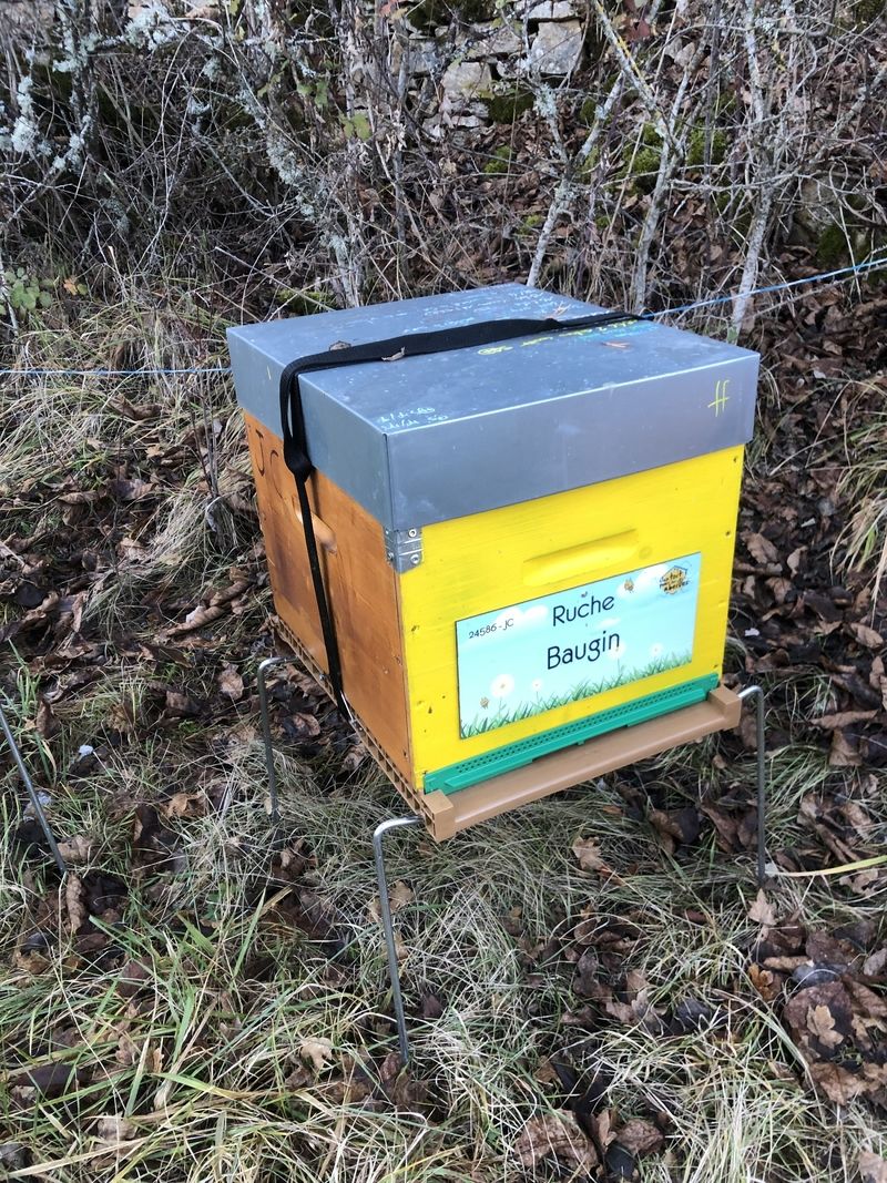 La ruche Baugin