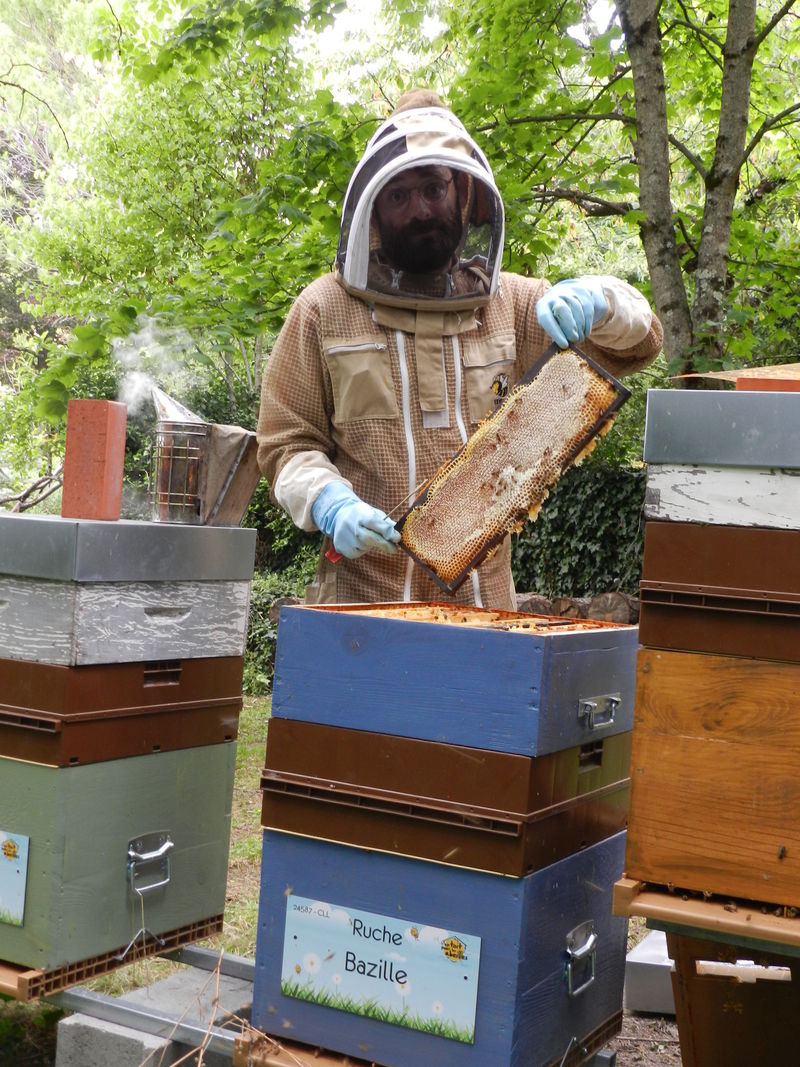 La ruche Bazille