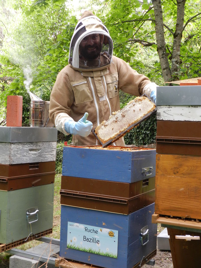 La ruche Bazille