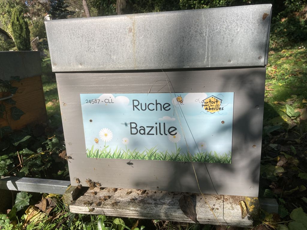 La ruche Bazille