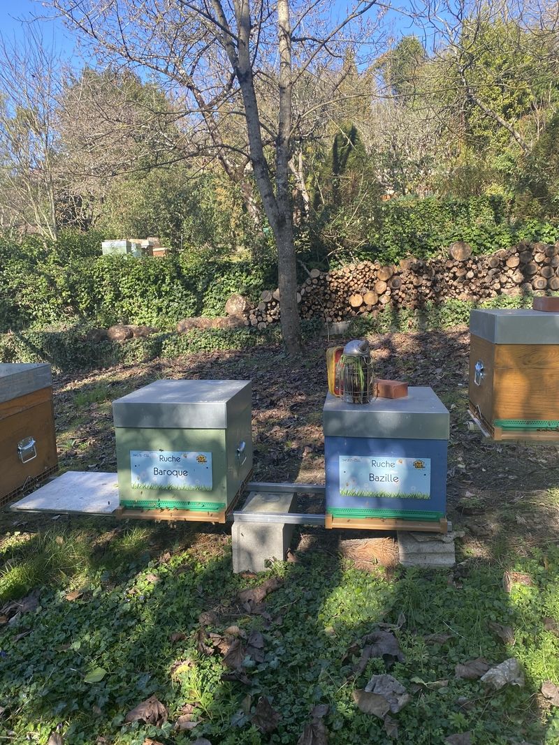 La ruche Bazille