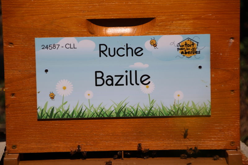 La ruche