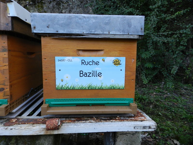 La ruche Bazille