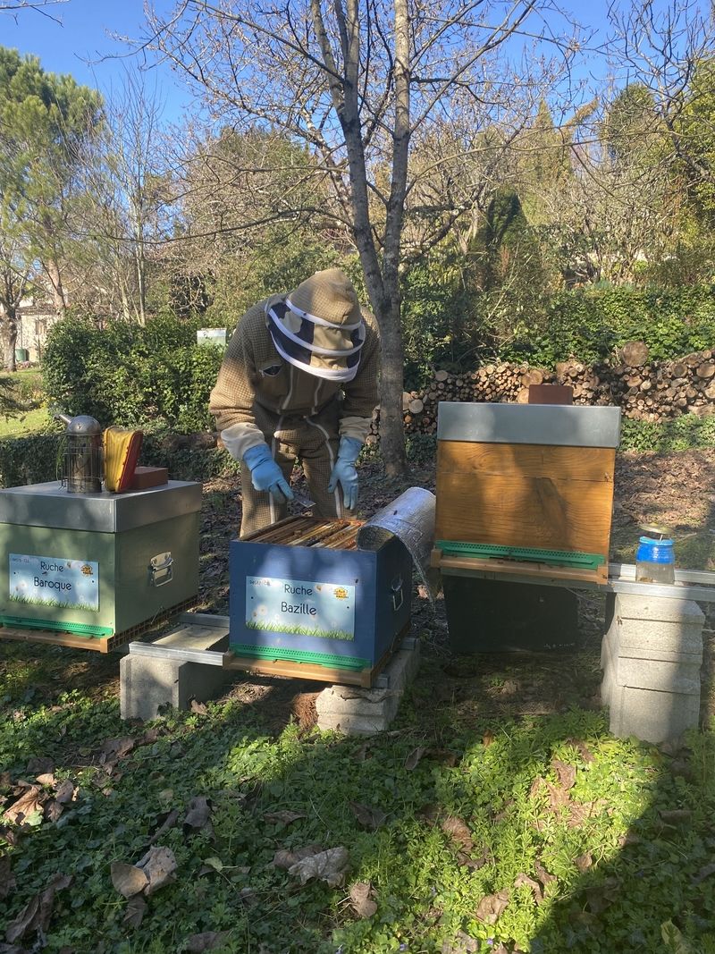 La ruche Bazille