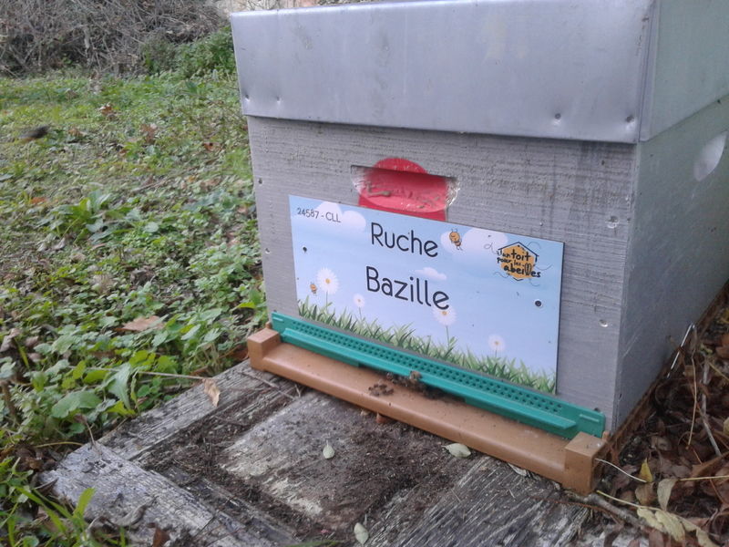 La ruche Bazille