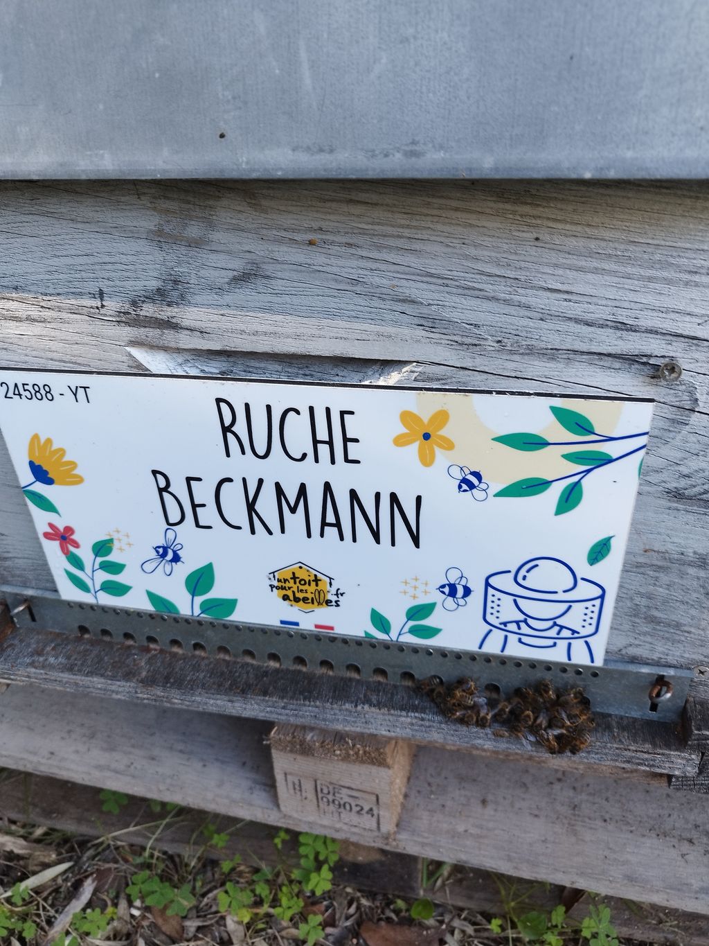 La ruche Beckmann 