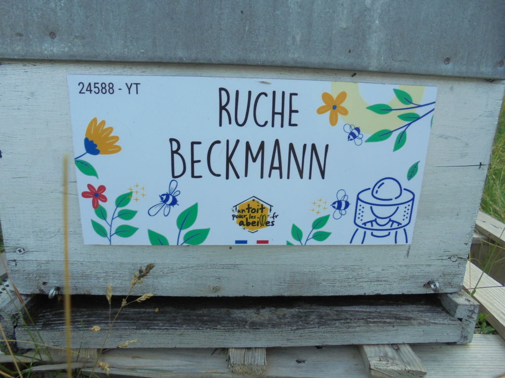 La ruche Beckmann 