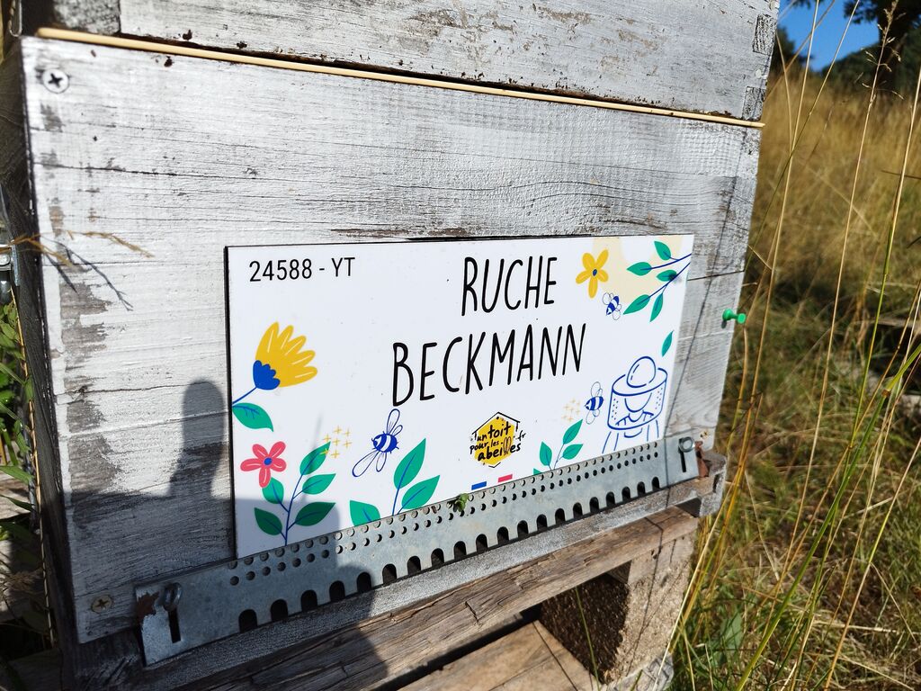 La ruche Beckmann 