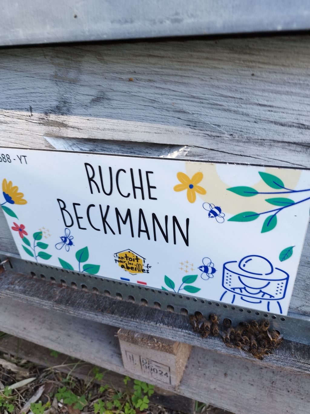 La ruche Beckmann 