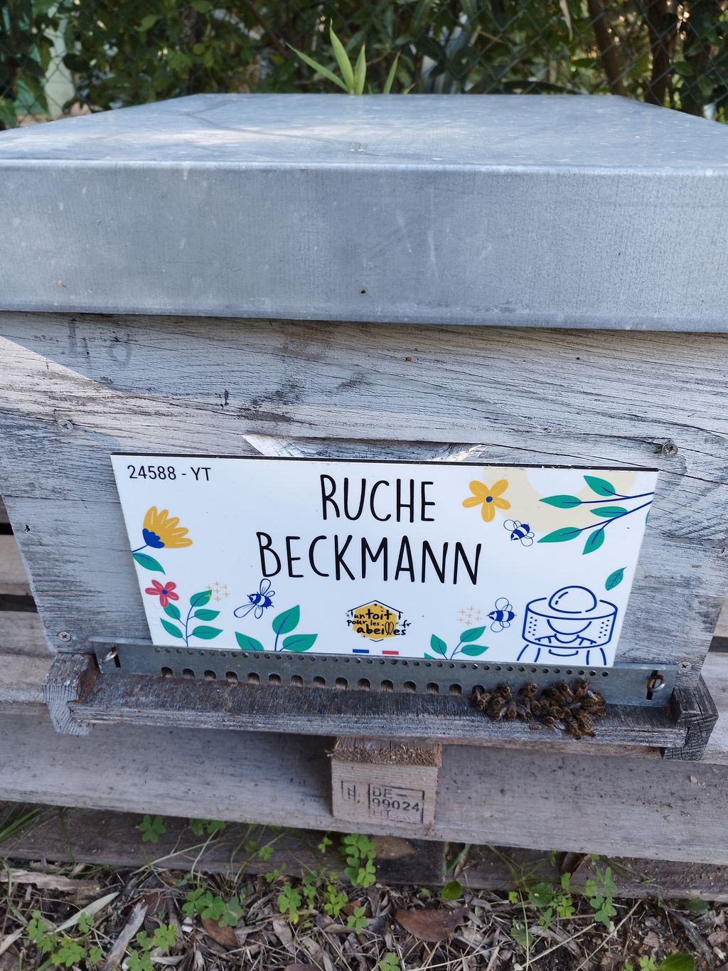 La ruche Beckmann 