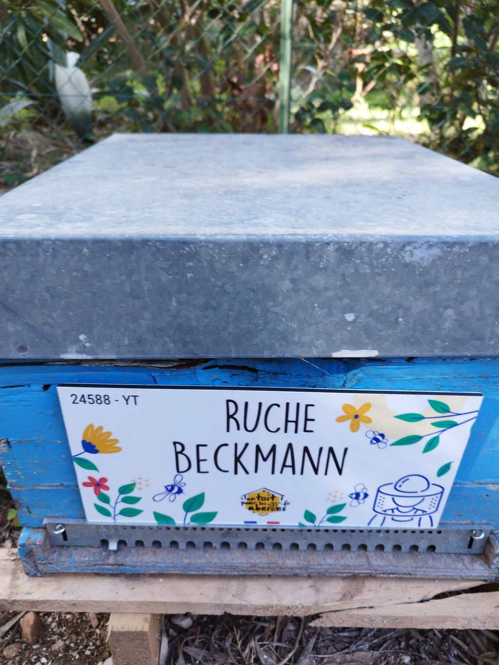 La ruche Beckmann 