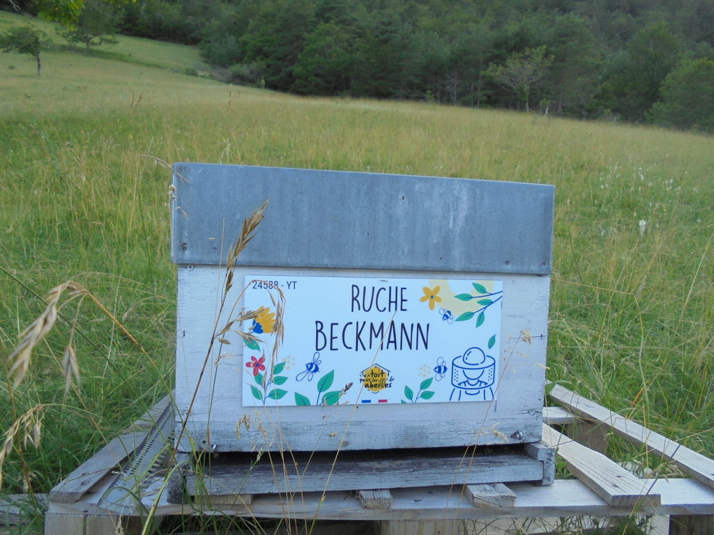 La ruche Beckmann 