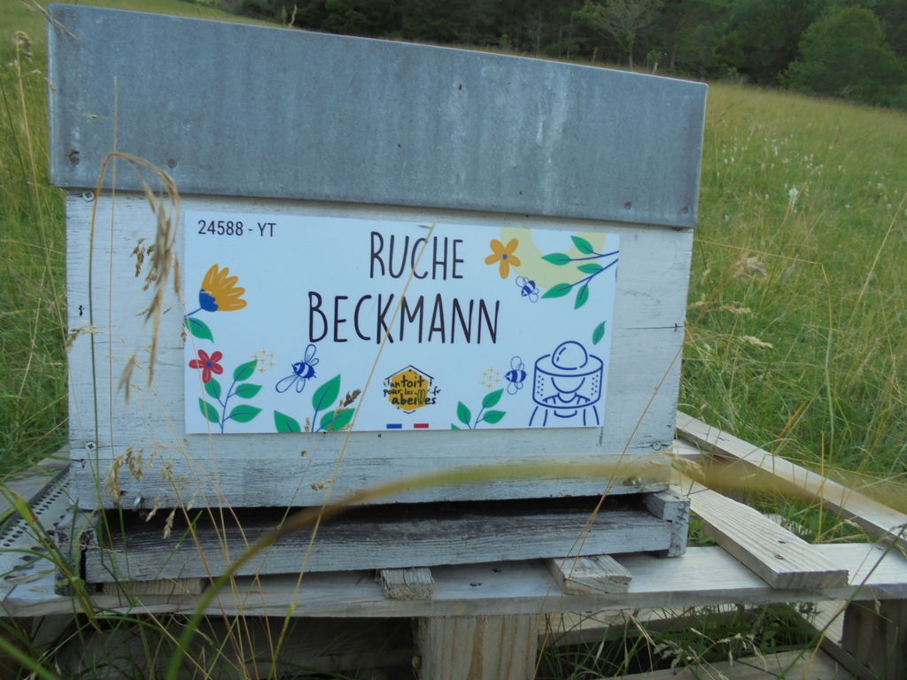 La ruche Beckmann 
