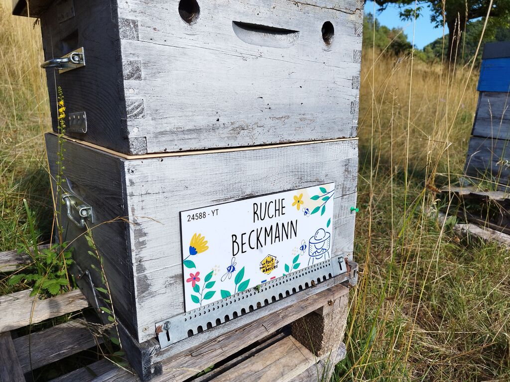 La ruche Beckmann 