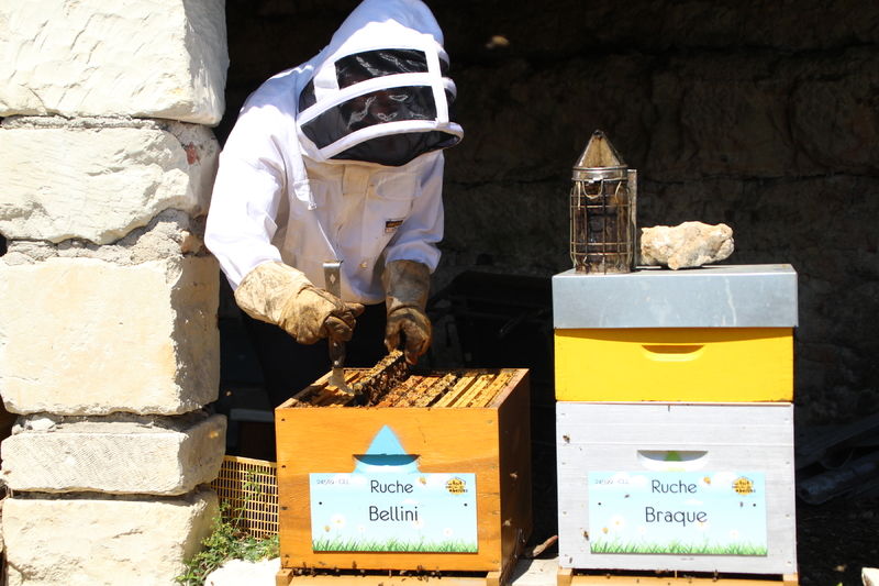 La ruche Bellini