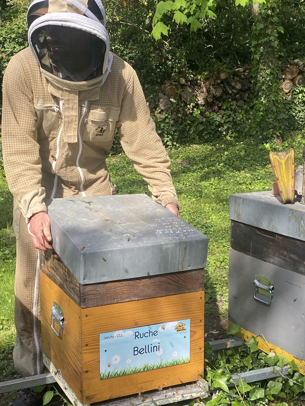 La ruche Bellini