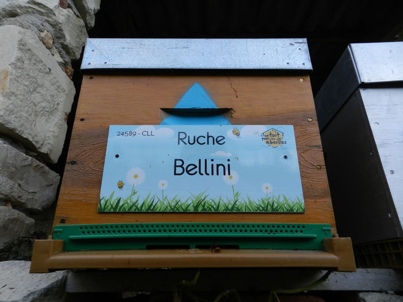 La ruche Bellini
