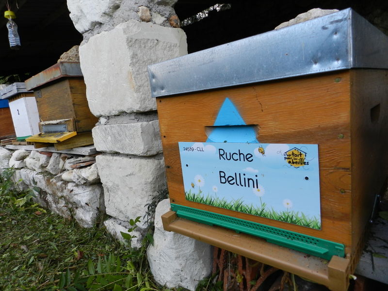 La ruche Bellini