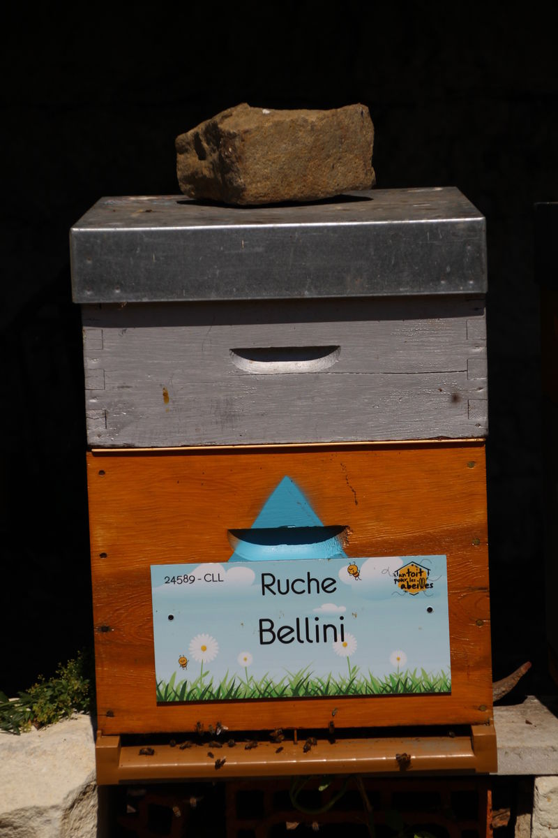 La ruche Bellini