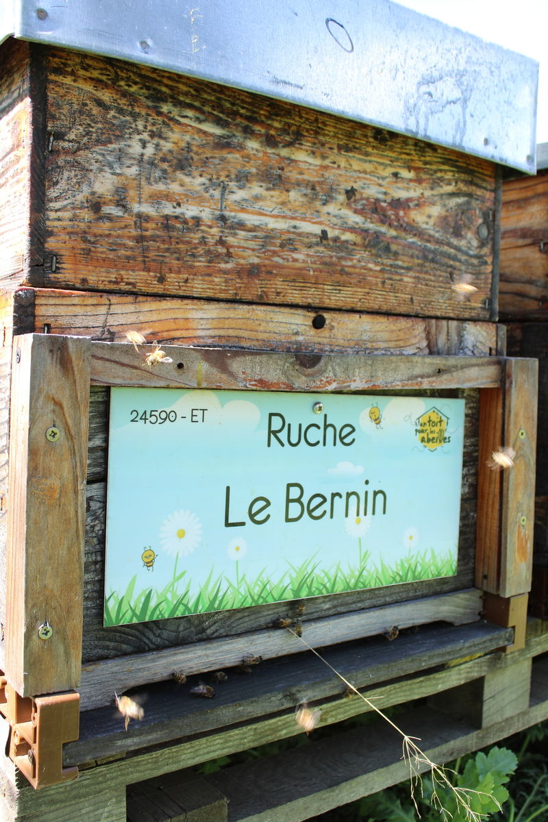 La ruche Le Bernin