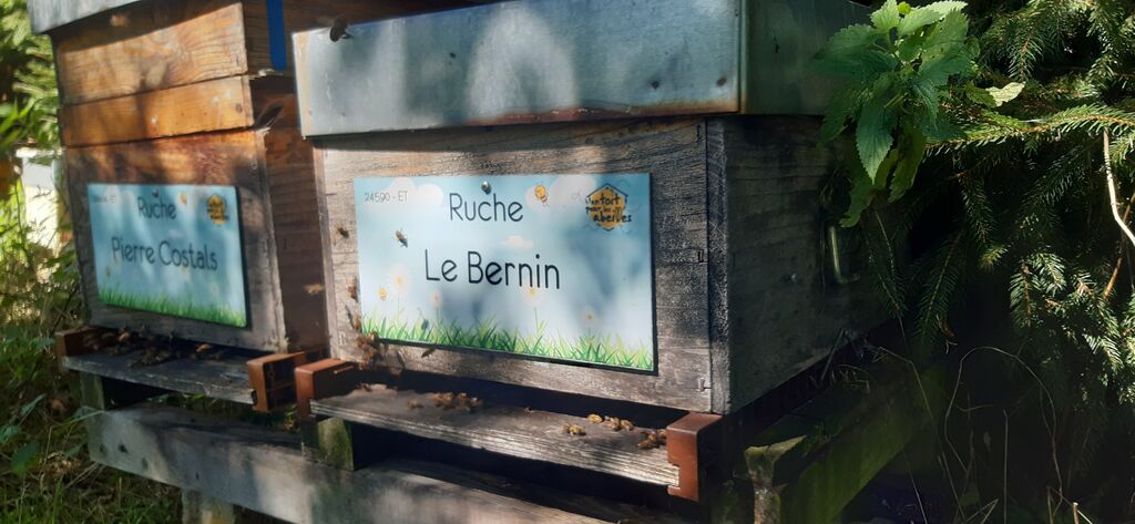 La ruche Le Bernin