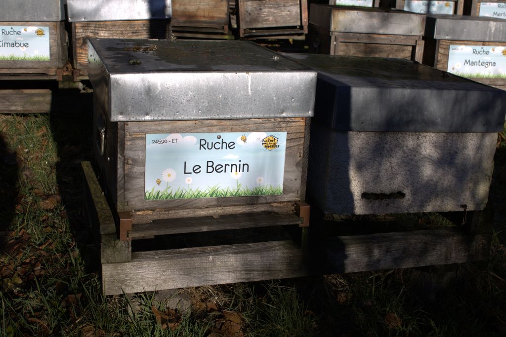 La ruche Le Bernin