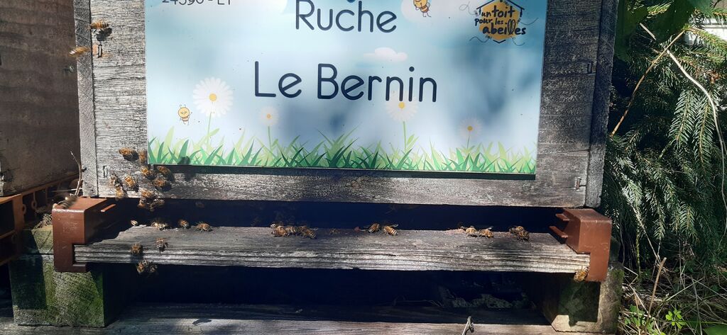 La ruche Le Bernin