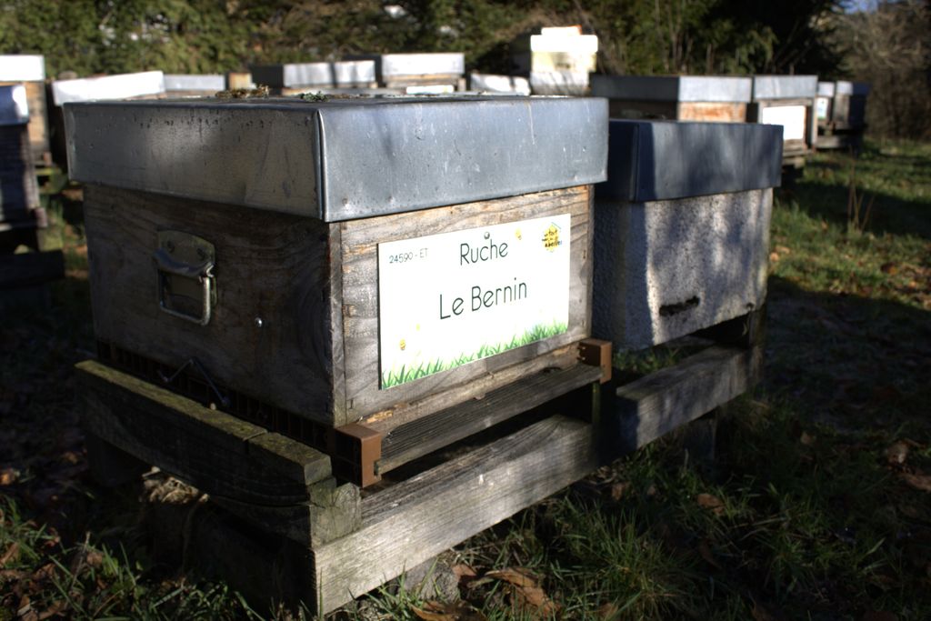 La ruche Le Bernin