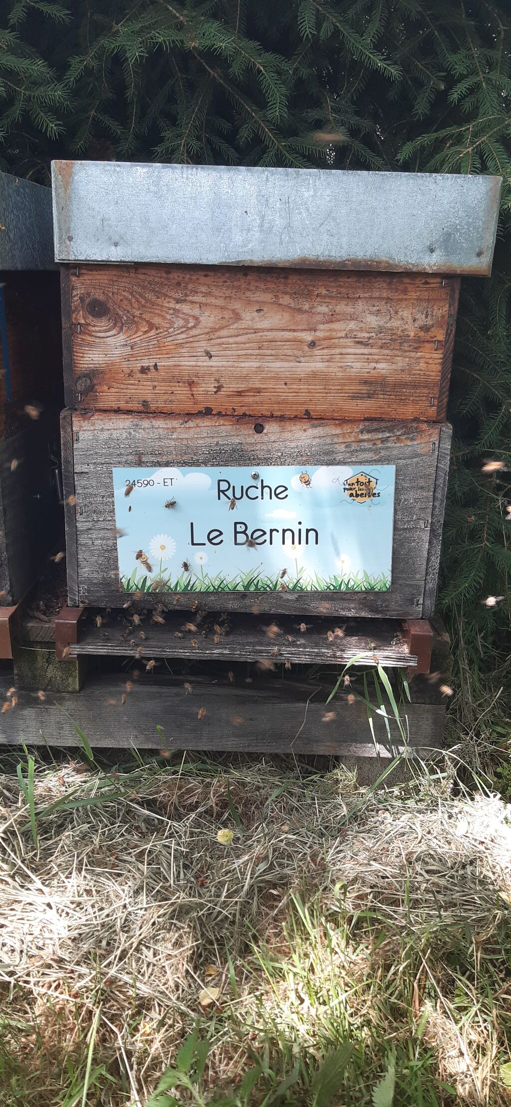 La ruche Le Bernin
