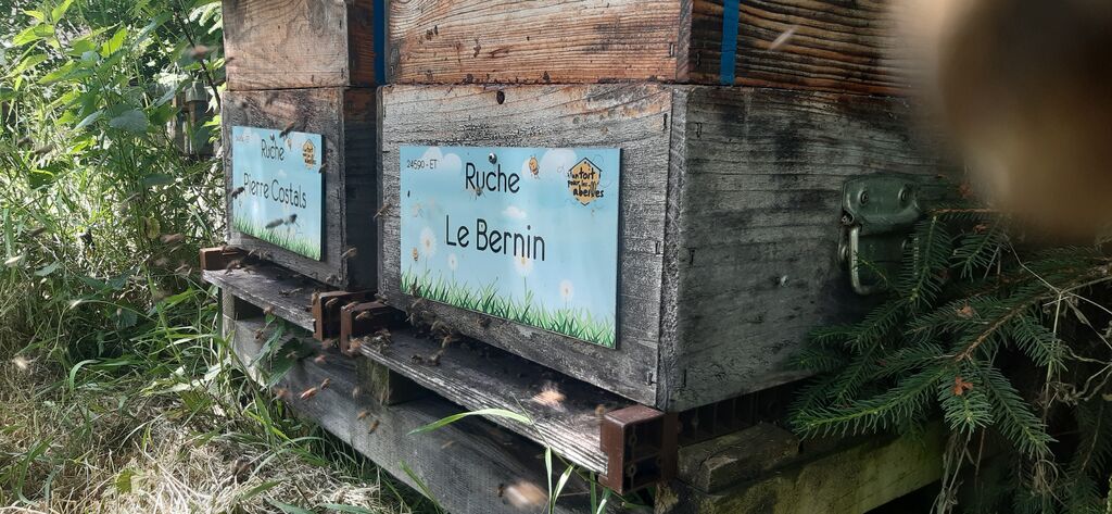 La ruche Le Bernin