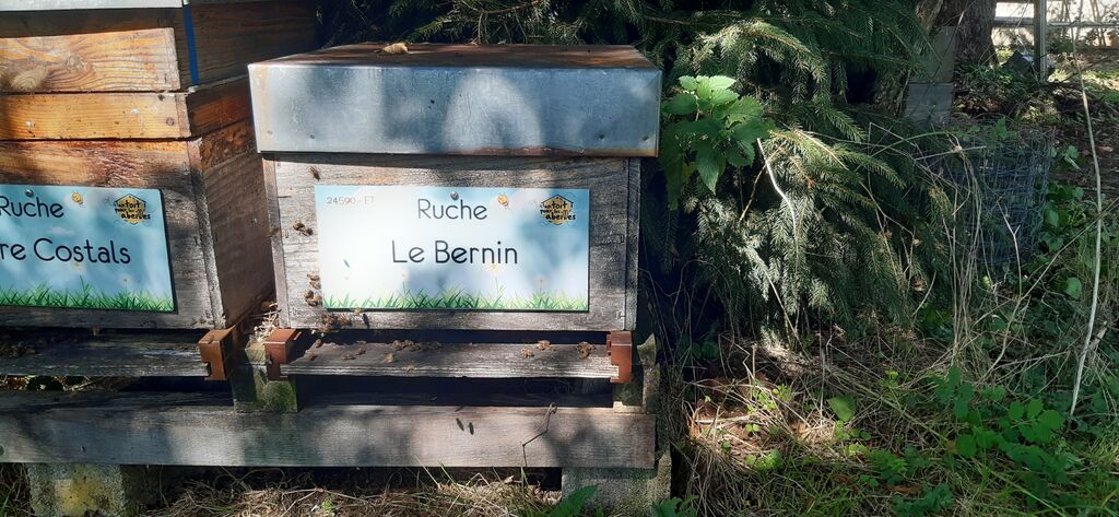 La ruche Le Bernin