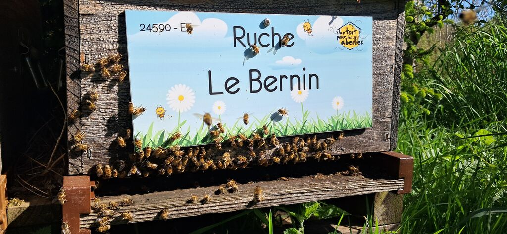 La ruche Le Bernin