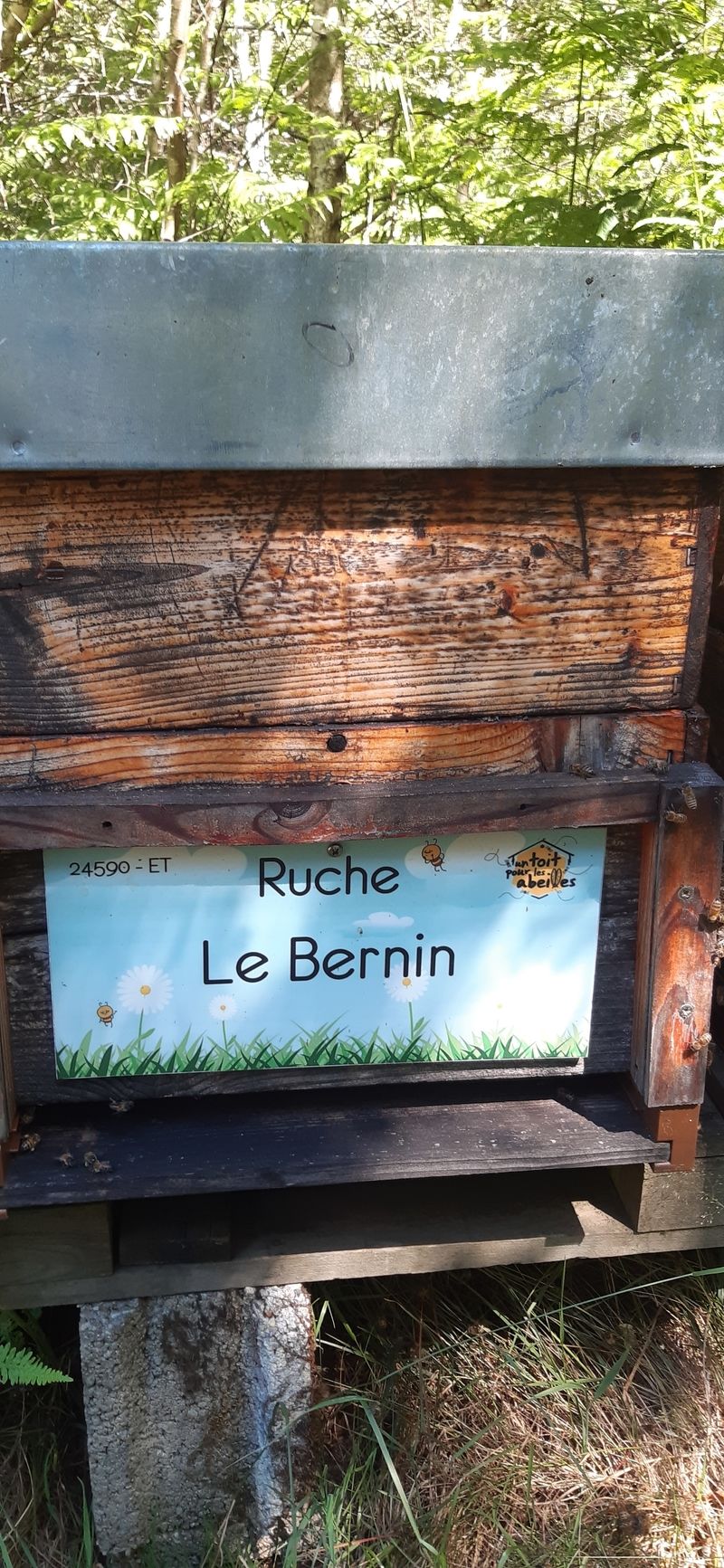 La ruche Le Bernin