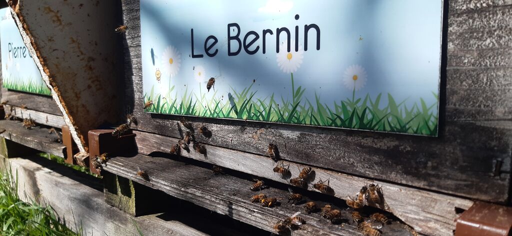 La ruche Le Bernin