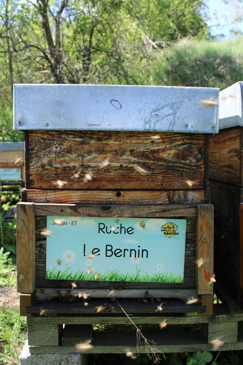La ruche Le Bernin