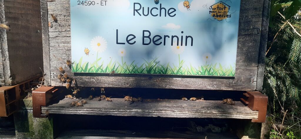 La ruche Le Bernin