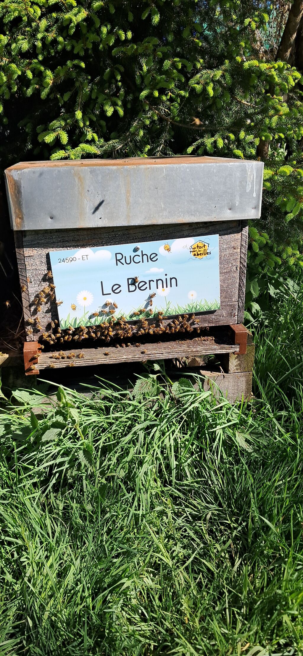 La ruche Le Bernin