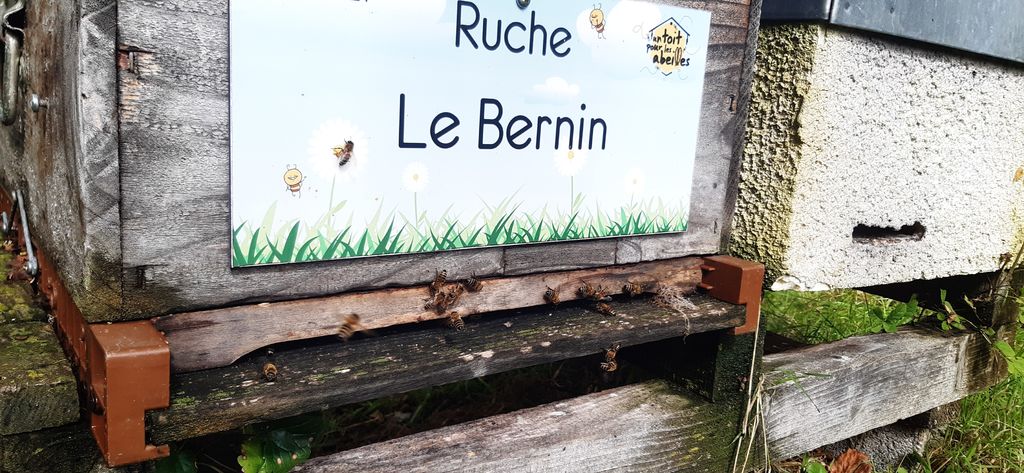 La ruche Le Bernin