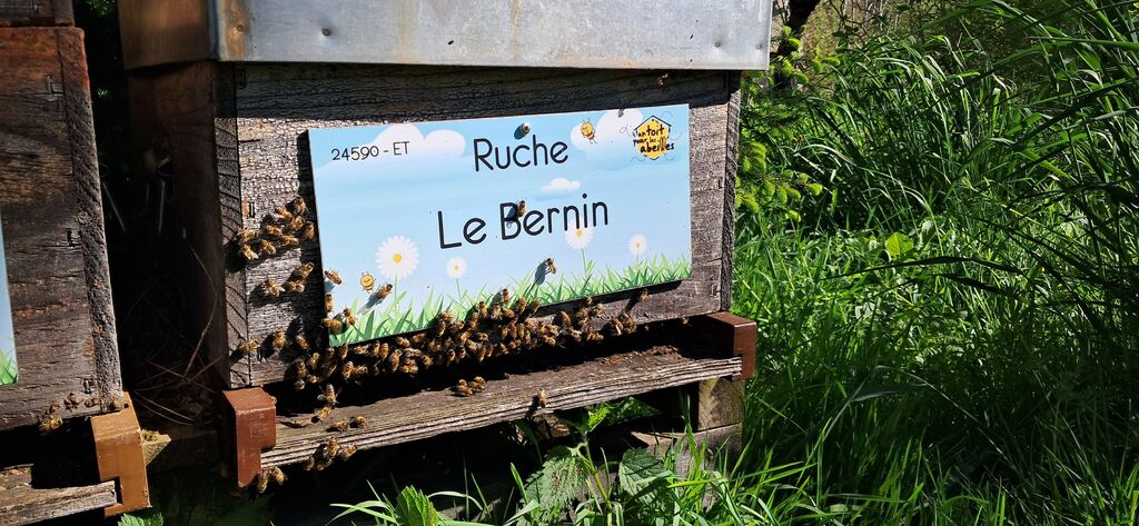 La ruche Le Bernin