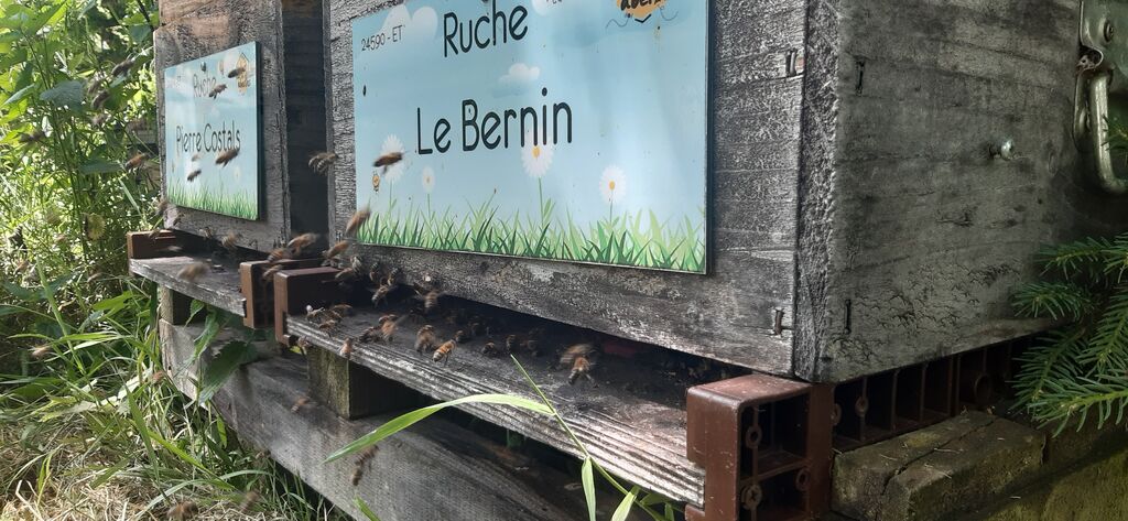 La ruche Le Bernin