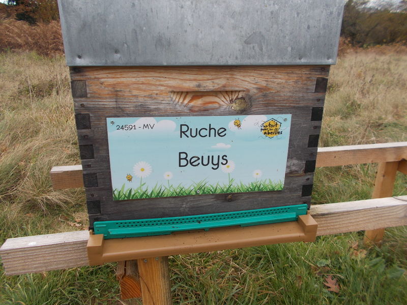 La ruche Beuys