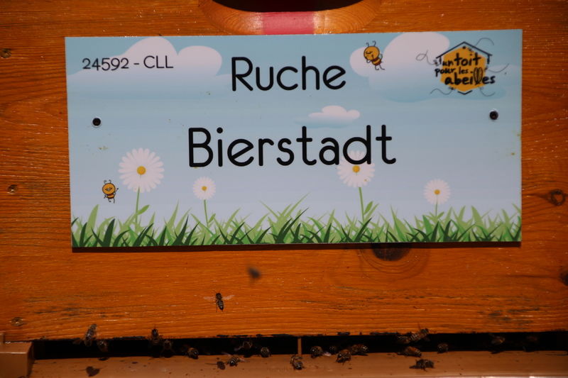 La ruche