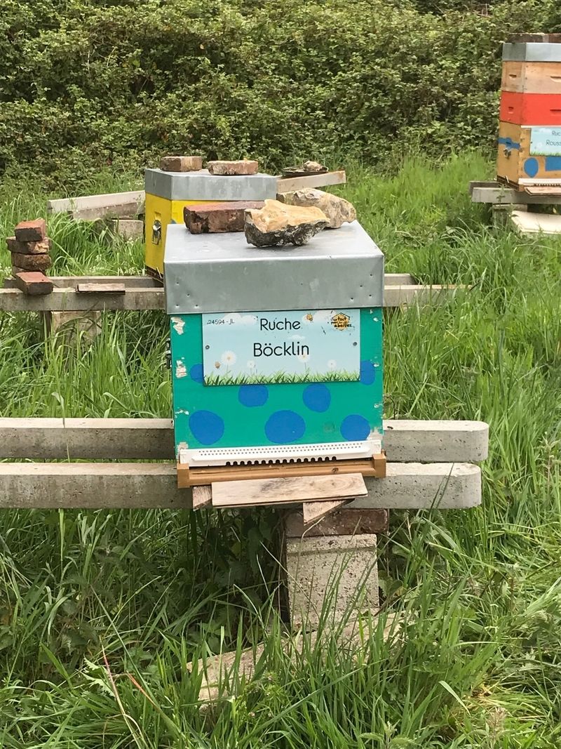 La ruche Böcklin