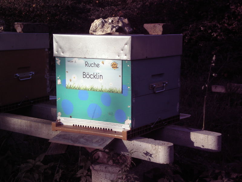 La ruche