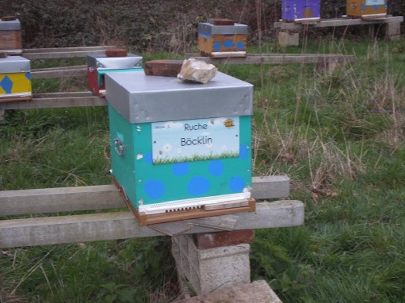 La ruche Böcklin