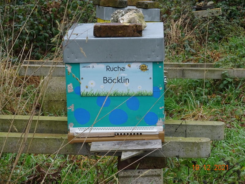 La ruche Böcklin